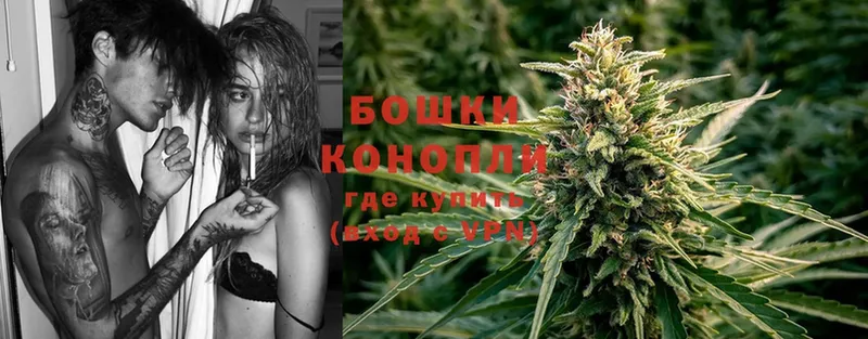 цена наркотик  Будённовск  Бошки Шишки THC 21% 